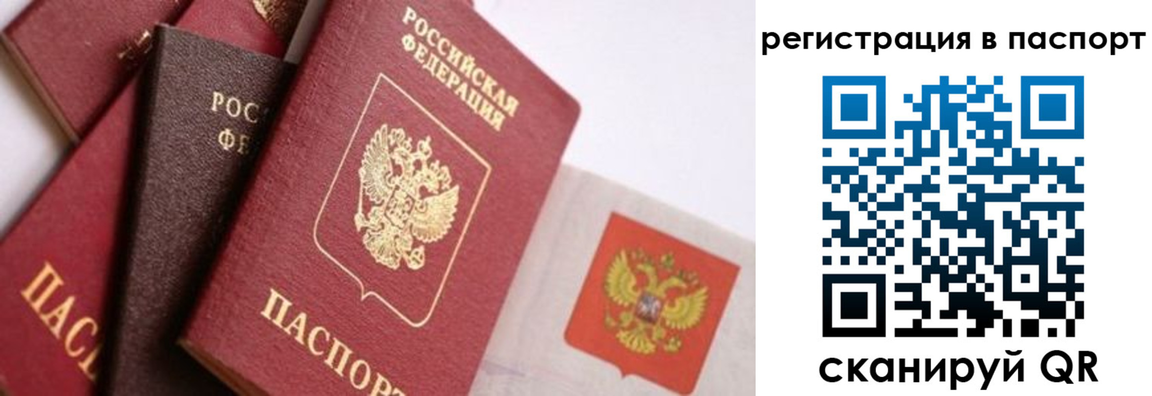 прописка в квартире в Кондрово